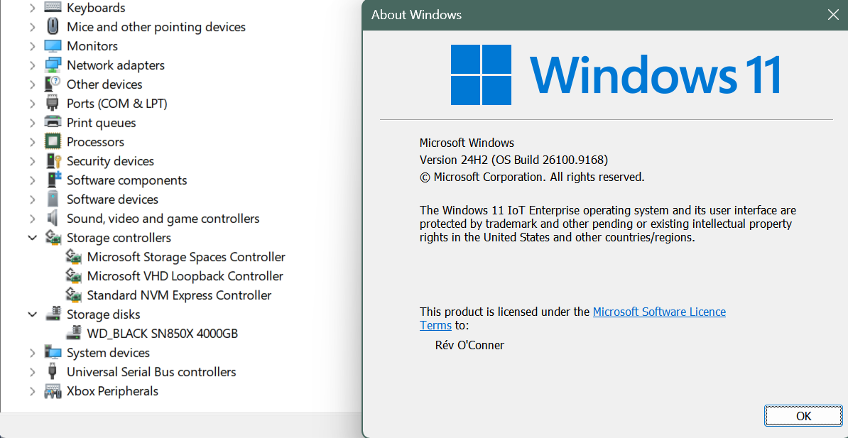 Native NVME driver in Win 11 24H2 LTSC 26100
